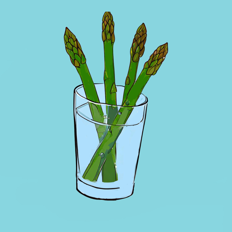 asparagus card