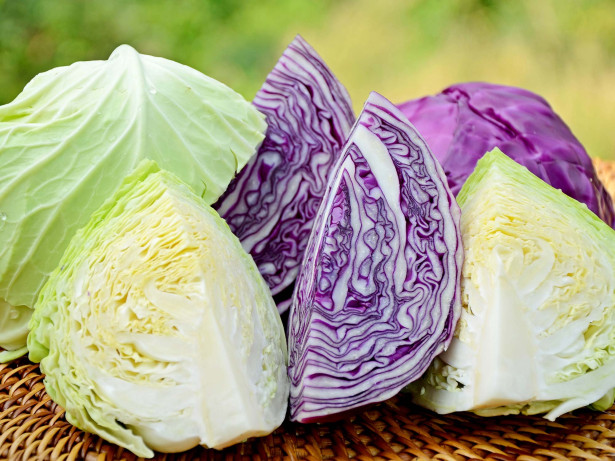 cabbages v2