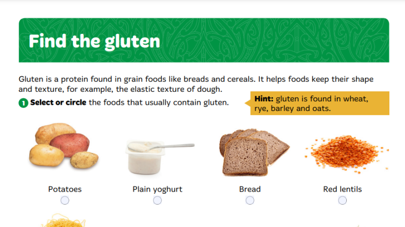 Find the gluten student Y8