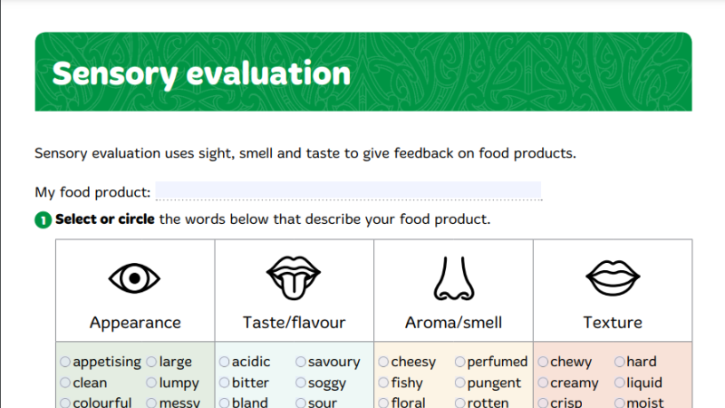 Sensory Evaluation Y8 l3