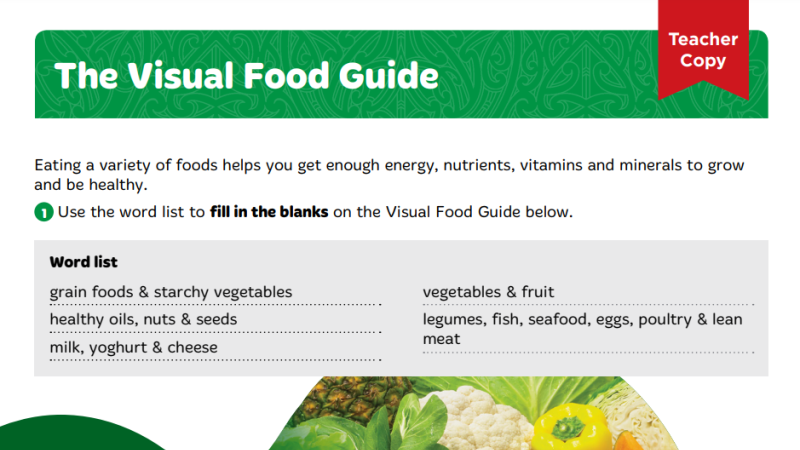 Visual Food Guide Y8 l1