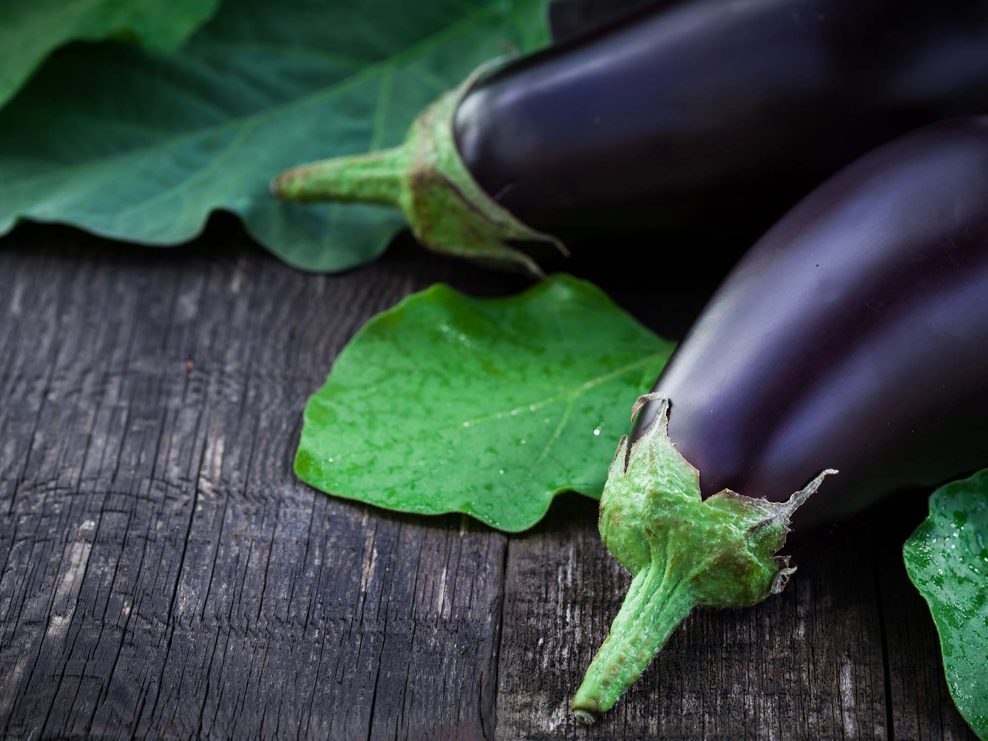Eggplant Insertion