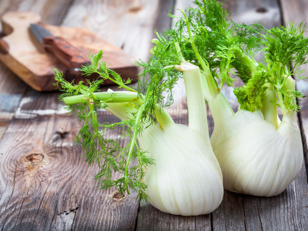 fennel