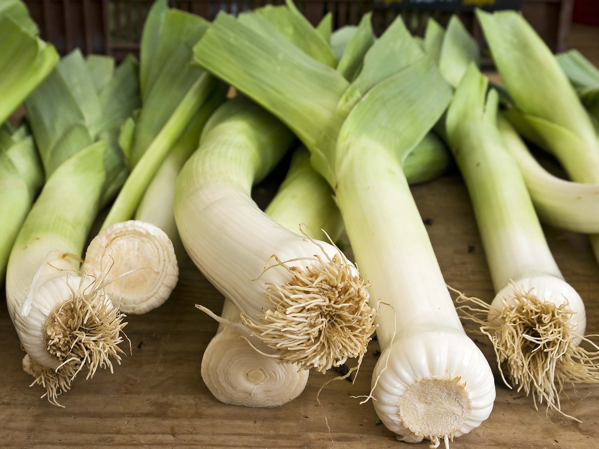 Mckinley Richardson Leeks: The Most Controversial Leek Technique Ever! - p2wicqf