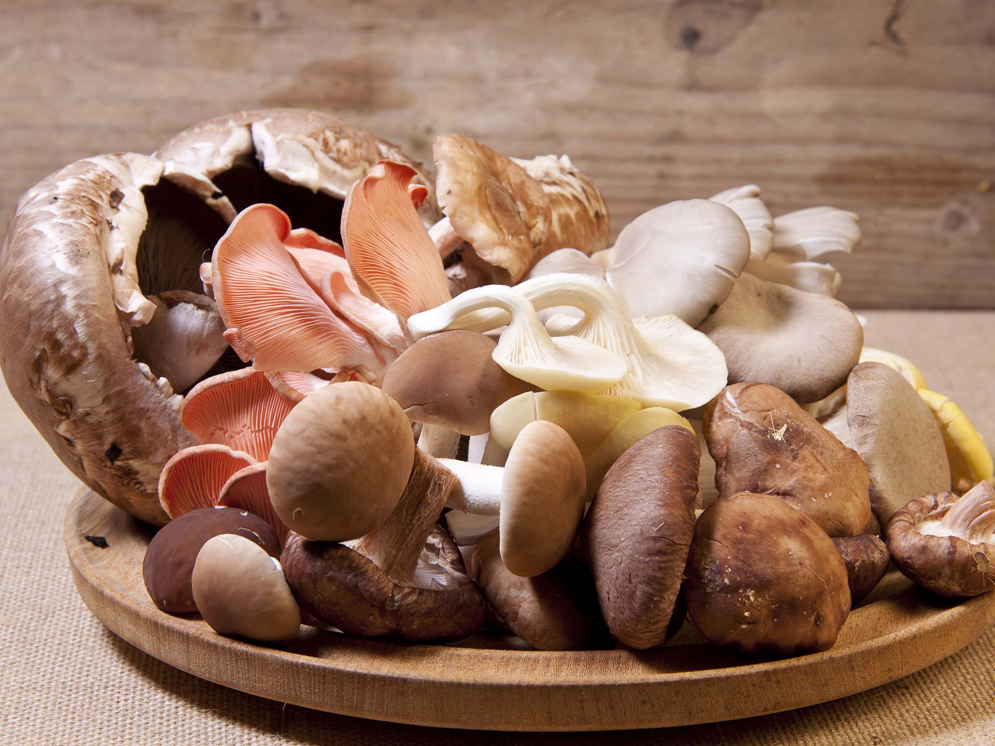 Можно есть грибы при похудении. Грибы разные. Экзотические грибы. Грибы питание. Много разных грибов.