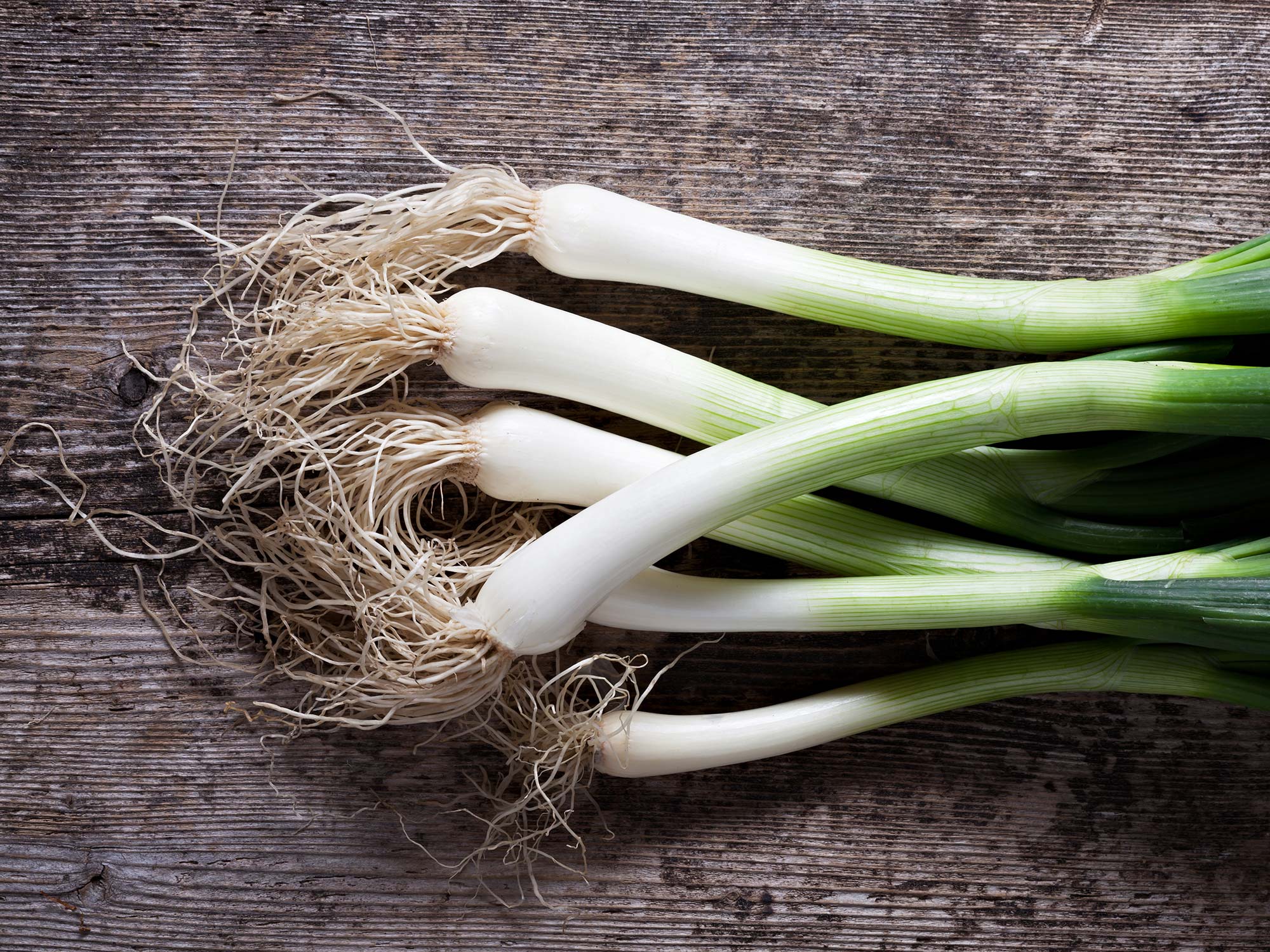 Spring Onion Vegetable