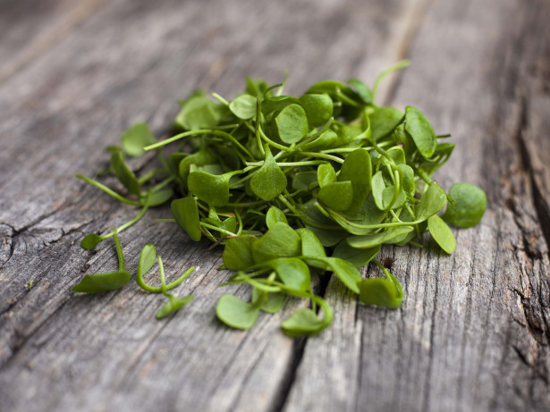 watercress