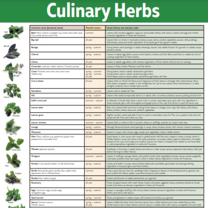 Culinary herbs