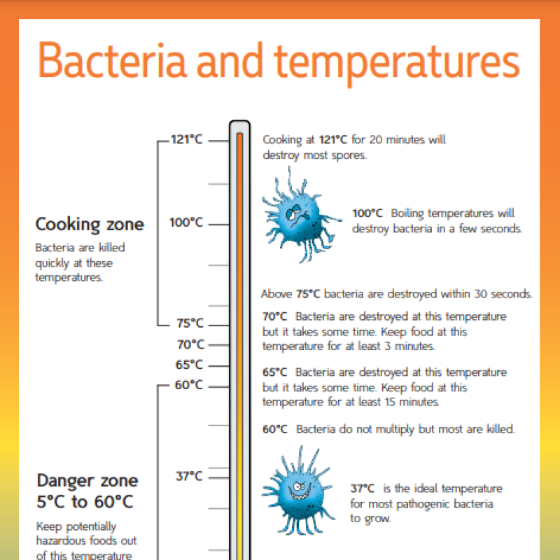 Safe Food Poster